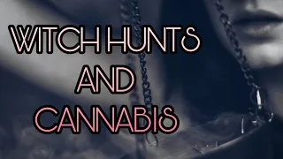 Witch Hunts and Cannabis