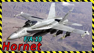 【Hornet】The McDonnell Douglas F/A-18 Hornet