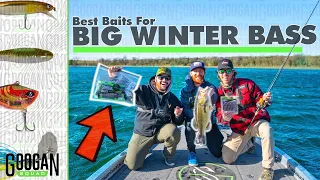 Going BASS FISHING With The RIGHT BAITS? (Winter Fishing For BIG BASS)