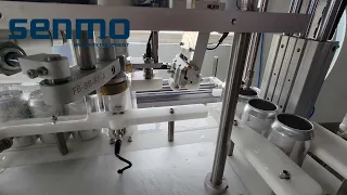 Small automatic craft beer canning machine for microbrewery.