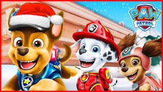 PAW Patrol Christmas - Coffin Dance Song (Cover)