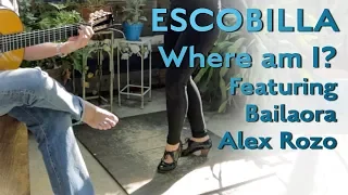 Escobilla - recognize where you are when playing for dance