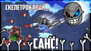 Скелетрон Санс и другие железяки! || Призыватель на эксперте #3