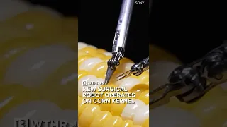 New surgical robot operates on corn kernel