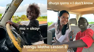 Yolngu Matha Lesson 8 | Homeland Dreaming Ep. 88