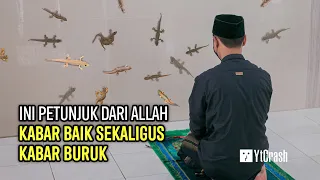 PANTESAN SEMAKIN BANYAK..!! Ternyata Cicak Membawa 2 Petunjuk dari Allah