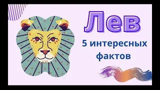 ЛЕВ| ХАРАКТЕРИСТИКА И ИНТЕРЕСНЫЕ ФАКТЫ