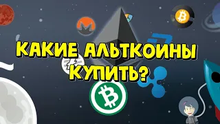 Биткоин прогноз, Биткоин кеш, DASH, XRP рипл, LTC, REEF, ZEC, RVN, ONT, XEM, THETA, BAND