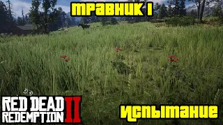 Прохождение RDR 2 на 100% - Испытание: Травник 1 (Глава 2 - Нагорье Подкова)