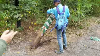 "Санитарные" рубки леса в Пуще-Водице. Так работает Святошинское  Лесопарковое Хозяйство