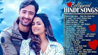 Hindi songs (Lyrics) || New hindi songs 2024 || Hindi songs || Pop hindi songs