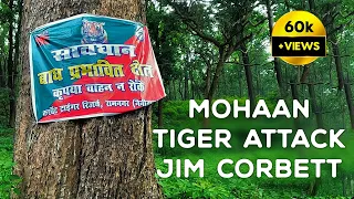 Man Eater Tiger Attack, Mohaan Jim Corbett 2022 4K Video Hindi