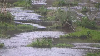 Study: leaking sewer is polluting the San Diego River, closing beaches