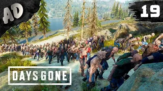 ОГРОМНАЯ ОРДА Прохождение Days Gone Жизнь После на Русском #19