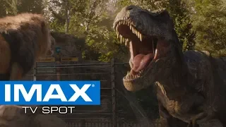 Jurassic World: Fallen Kingdom IMAX® Exclusive TV Spot