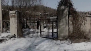 Abandoned Dog Slaughterhouse in China to Never Reopen