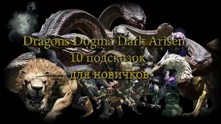 Dragons Dogma Dark Arisen 10 подсказок для новичков