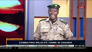 Combating wildlife crime in Uganda | MORNING AT NTV