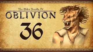 Let's Play Oblivion Again - 36 - Hero of Kvatch