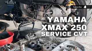 YAMAHA XMAX 250 | SERVICE CVT