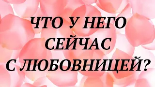 ЧТО У НЕГО С ЛЮБОВНИЦЕЙ? | таро гадание | онлайн таро расклад | таро ютуб |