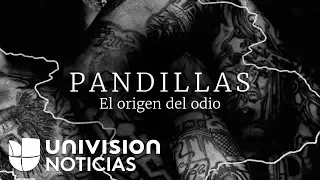 Las pandillas: el origen del odio