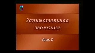 Эволюция животного мира. Урок 2. Воды - колыбель жизни на нашей планете