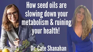 How seed oils are slowing down your metabolism & ruining your health with Dr. Cate Shanahan