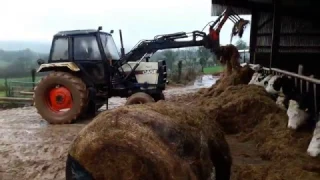 Case 1494 Loading Silage