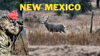 New Mexico DIY Mule Deer Hunt