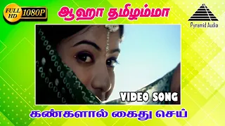 ஆஹா தமிழம்மா HD Video Song | Kangalal Kaidhu Sei | Vaseegaran | Priyamani | A. R. Rahman