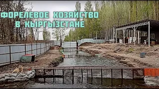 Обзор.Форелевое хозяйство. Город Токмок.