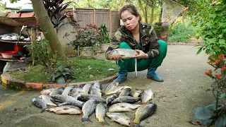 Giant PYTHON Attacked my Father - Dry Fish Recipe & Take Care of Your Sick Daughter | Free New Life