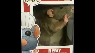 Ratatouille Full Movie HD