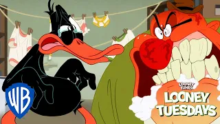 Looney Tunes po polsku 🇵🇱 | Spóźniona kaczka🦆 | WB Kids