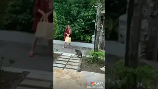 СОВМЕСТНЫЕ ВИДЕО ЭЛИНЫ 🦊 И МАСЕЯ 🐺 НА БАЛИ