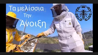 Ανάπτυξης Μελισσίων ( τώρα μπαίνει η Άνοιξη )