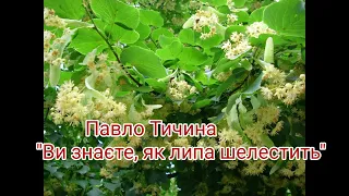 "Ви знаєте, як липа шелестить..."//Павло Тичина//11 клас Шкільна програма