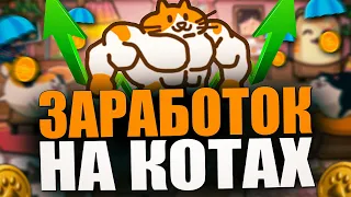 ПОДРОБНЫЙ ГАЙД ПО CATIZEN | ЗАРАБАТЫВАЕМ НА КОТИКАХ