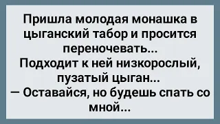 Молодая Монашка Пришла в Цыганский Табор! Сборник Свежих Анекдотов! Юмор!