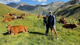 Tour Du Mont Blanc - Ep. 2 of 2 (Trek across France, Italy, and Switzerland)