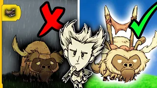 Jak si ochočit Beefala v Don't Starve Together? - ULTIMÁTNÍ průvodce  🐂