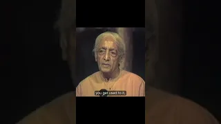 We are killing our senses | Krishnamurti #shorts