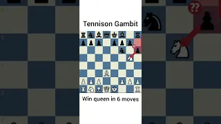Tennison Gambit, win queen in 6 moves #shorts #chess