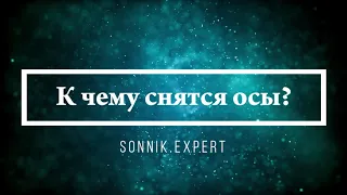 К чему снятся осы - Онлайн Сонник Эксперт