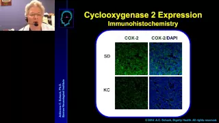 Adrienne Scheck - Metabolic therapy for the adjuvant treatment of malignant brain tumors