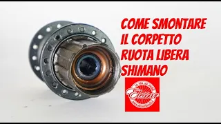 Come fare manutenzione al corpetto ruota libera Shimano