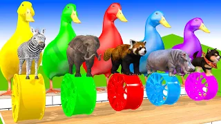 5 Giant Duck, Monkey, Piglet, chicken, dog, cat, cow, Sheep, Transfiguration funny animal 2023 #2