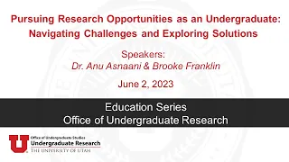 Pursuing Research Opportunities as an Undergraduate: Navigating Challenges and Exploring Solutions