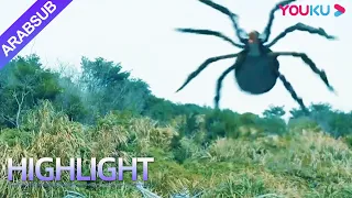 "العنكبوت المجنون"｜Crazy Spider｜العناكب العملاقة تطارد! تبعه الحشد في عرينه｜YOUKU